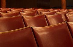 Realizacja wnętrz sal teatralnych i kinowych